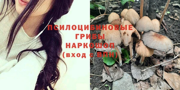 гашик Бронницы