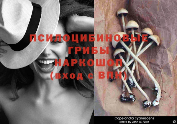 метадон Бородино