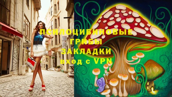 гашик Бронницы