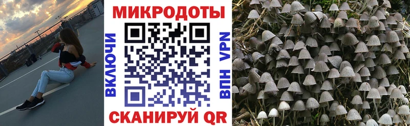 Галлюциногенные грибы прущие грибы  Купить где  Михайловск 