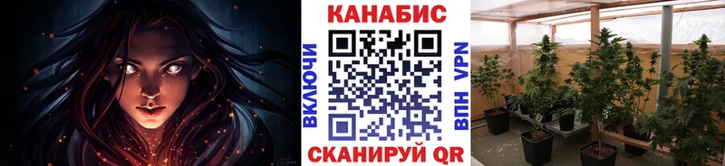 Купить  Михайловск  Бошки Шишки OG Kush 